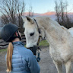 Meet your Posher, Paige